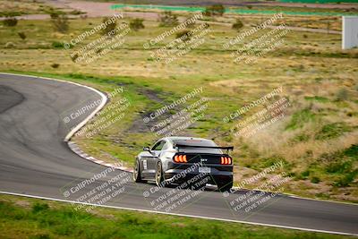 media/Feb-25-2024-Speed Ventures (Sun) [[b9a2a97a4d]]/Mustang Drivers Club/Session 1 (Turns 4 and 5)/